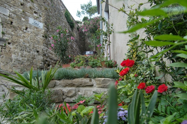 urlaub-kroatien-vom-29-05-2009-bis-14-06-2009-00727719CF87-572F-9B49-8779-6E9FD5080FEC.jpg