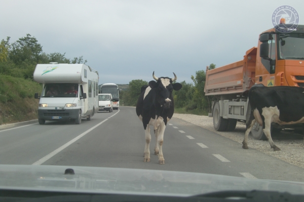 urlaub-kroatien-vom-29-05-2009-bis-14-06-2009-0136F24A4416-3DB1-45A0-FC76-D27BF29BB1CD.jpg