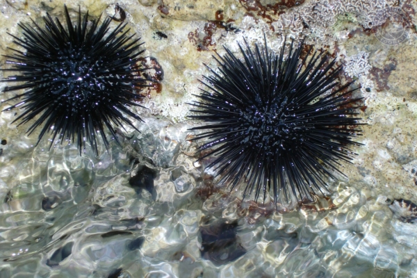urlaub-kroatien-vom-29-05-2009-bis-14-06-2009-015024FC4A87-ADAD-48B5-EB1D-673C0C2C2754.jpg