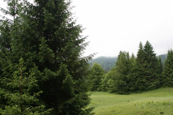 urlaub-kroatien-vom-29-05-2009-bis-14-06-2009-04546FBA532A-EABD-8407-799E-B9038A1BD2D0.jpg