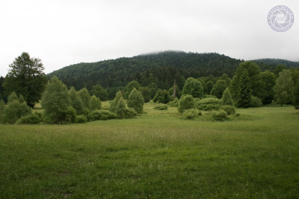urlaub-kroatien-vom-29-05-2009-bis-14-06-2009-04585333FA7E-F175-1972-5358-D21422DB2E06.jpg