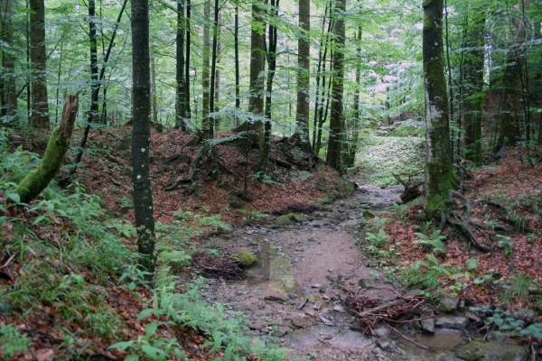 urlaub-kroatien-vom-29-05-2009-bis-14-06-2009-048280D56236-8508-EDF0-74C1-F64F1DE626AA.jpg