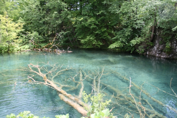 urlaub-kroatien-vom-29-05-2009-bis-14-06-2009-106291F657DE-1AC3-A009-A92F-985FC0AE6020.jpg