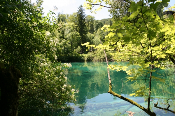 urlaub-kroatien-vom-29-05-2009-bis-14-06-2009-1085E06FF366-C4F3-7AAB-38B3-99E3B07E132F.jpg