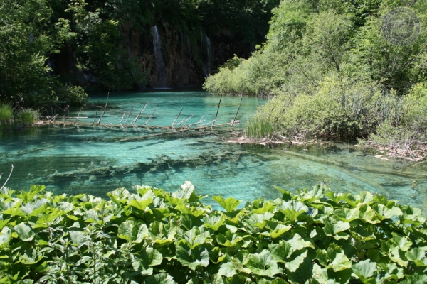 urlaub-kroatien-vom-29-05-2009-bis-14-06-2009-1113A6C55A0B-34E4-2C1F-24D8-92BE22DC3D03.jpg