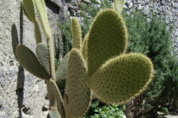 urlaub-kroatien-vom-29-05-2009-bis-14-06-2009-1422DBE0A80D-8975-6F2C-1C7C-81E130D9DA2A.jpg