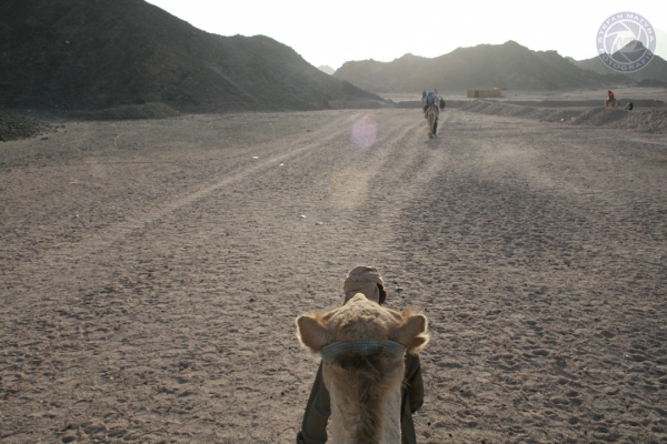 aegypten-2010-08A5283A7F-1CF7-BFA6-3676-270096C0A27A.jpg