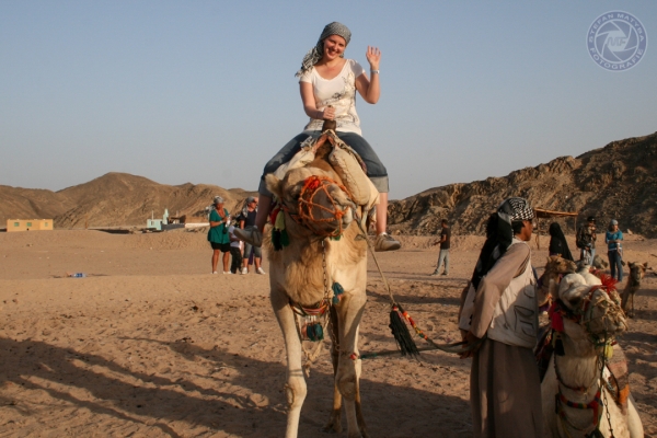 aegypten-2010-101D21A4B8-D37A-F413-0895-463F2A2371E6.jpg